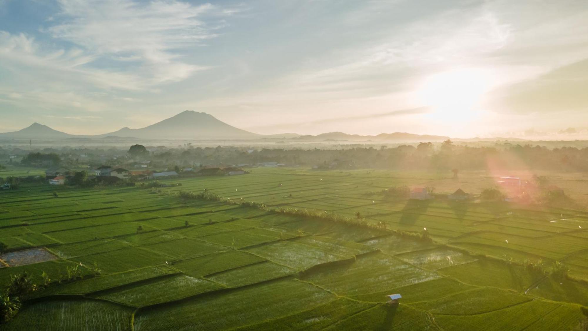 Aswanaya Villas Ubud Екстериор снимка