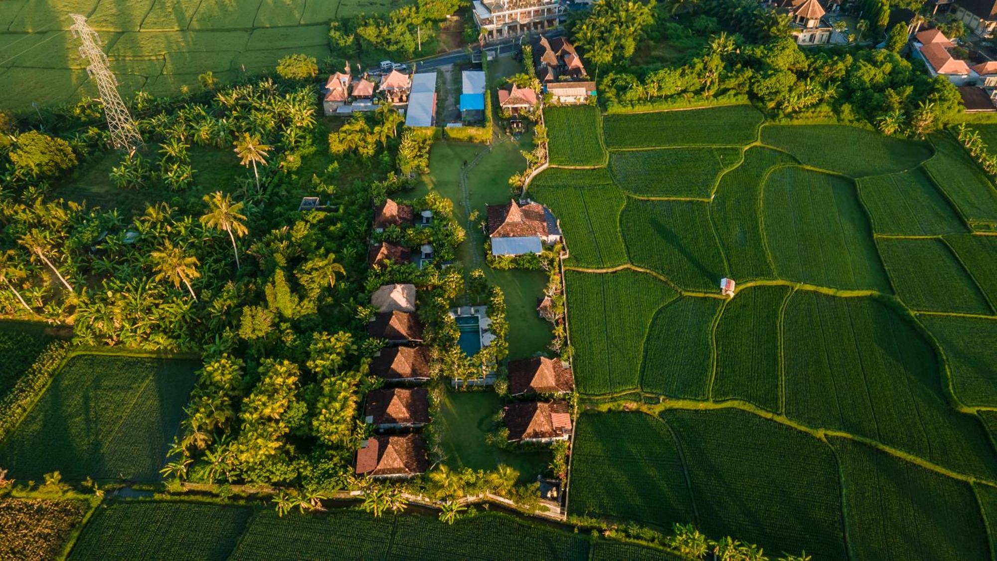 Aswanaya Villas Ubud Екстериор снимка