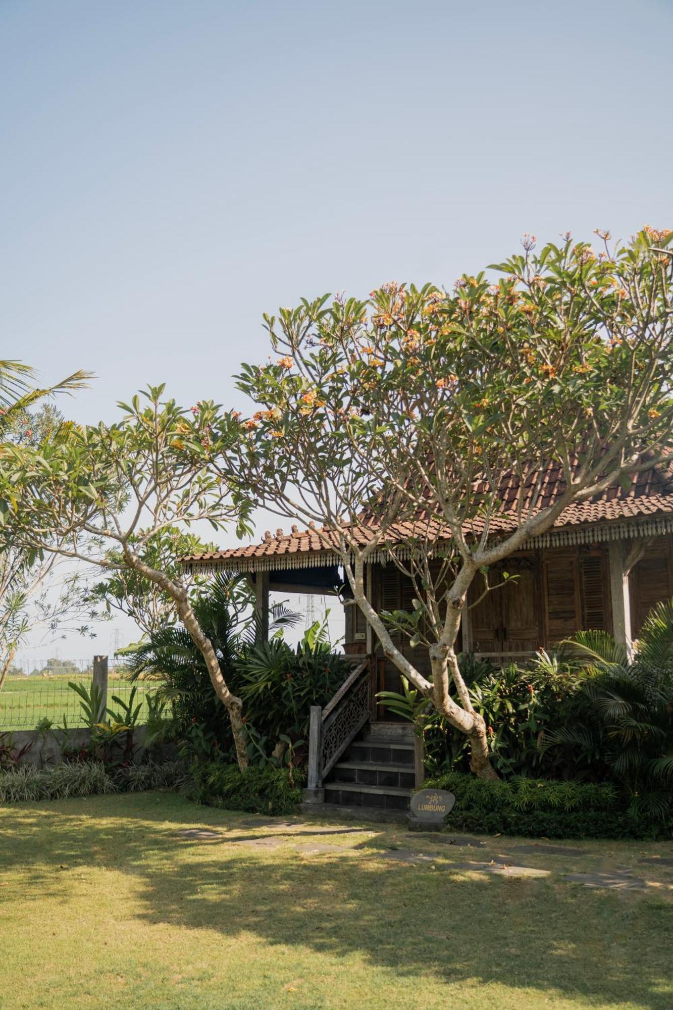 Aswanaya Villas Ubud Екстериор снимка