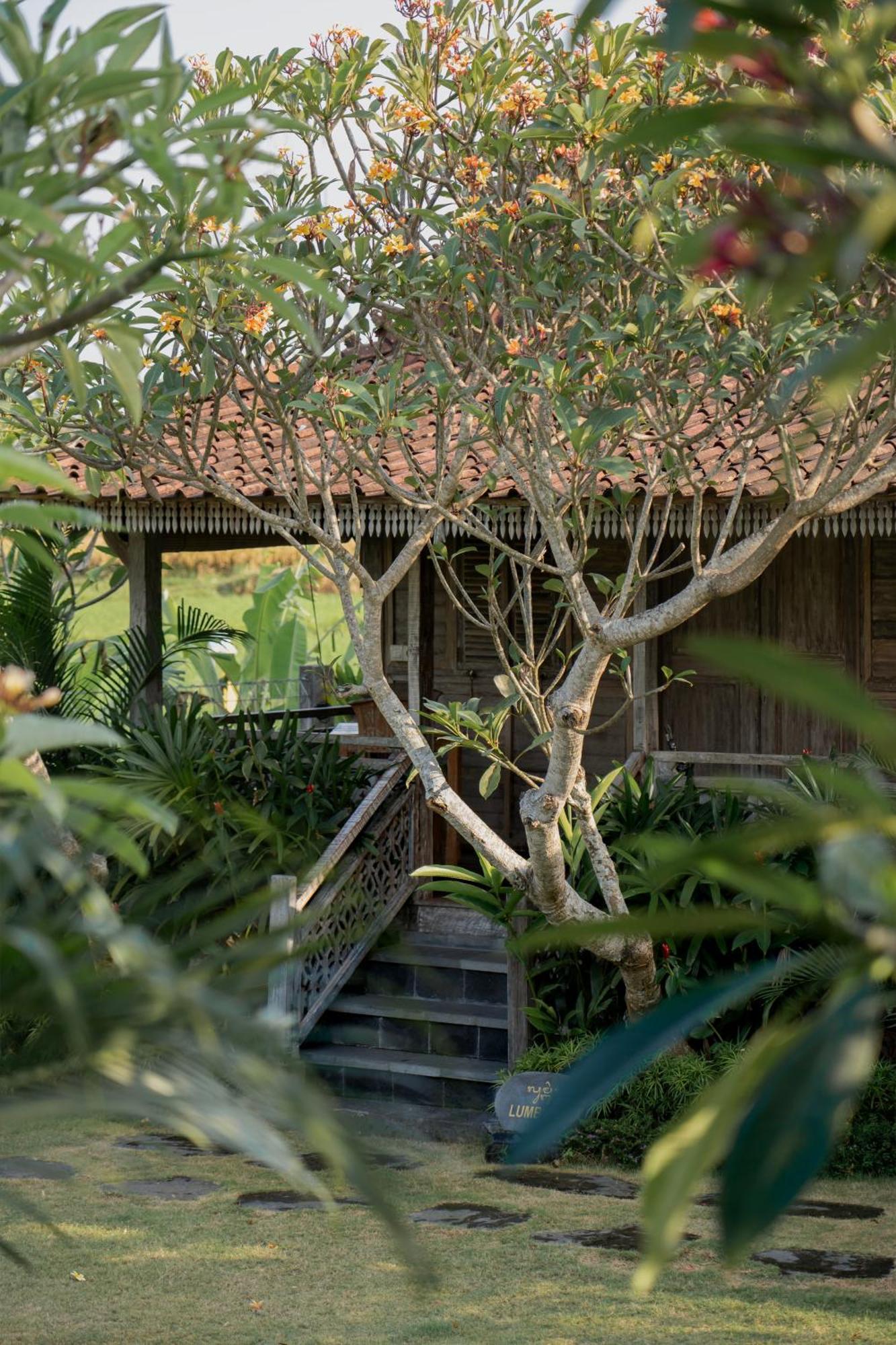 Aswanaya Villas Ubud Екстериор снимка